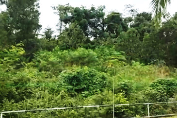 60 Acres Development Land, Kulim, Kedah For JV