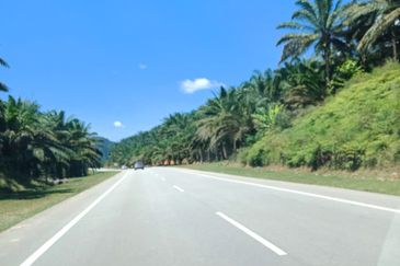 3,246 Acres FREEHOLD Palm Oil Plantation, Gua Musang, Kelantan for SALE