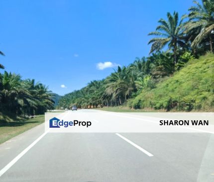 3,246 Acres FREEHOLD Palm Oil Plantation, Gua Musang, Kelantan for SALE, Kelantan, Gua Musang
