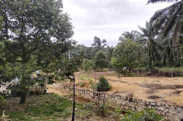 47 Acres FREEHOLD Durian Farm, Temoh, Batang Padang, Perak for SALE