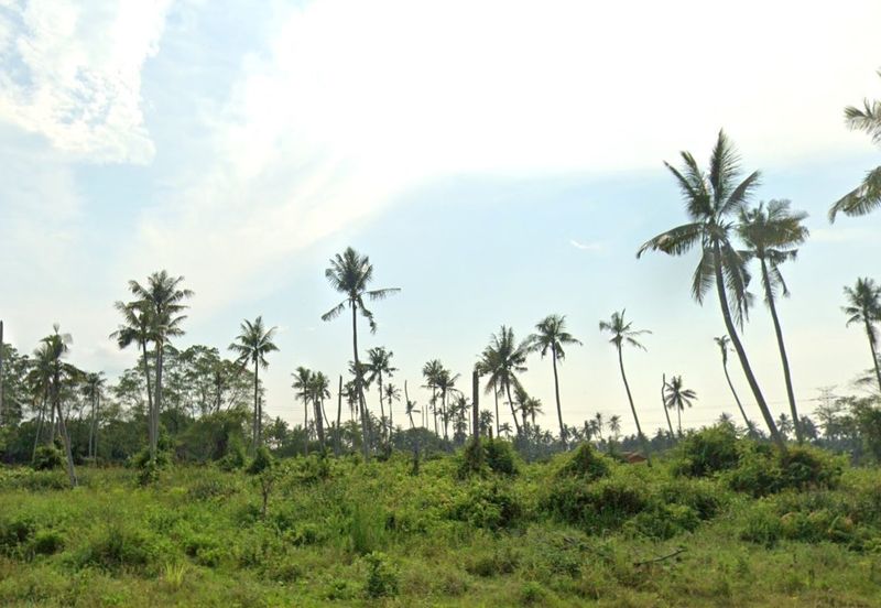 1.24 Acres Agricultural Land, Kampung Perepat, Kapar, Klang for SALE