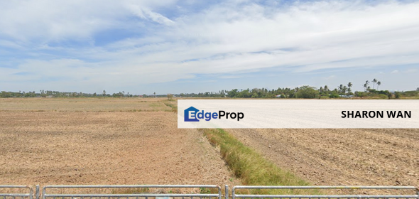 44 Acres FREEHOLD Development Land, Seberang Perai Utara, Pulau Pinang for SALE, Penang, Seberang Perai