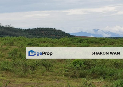 601.29 Acres FREEHOLD Development Land, Sungai Petani, Kuala Muda, Kedah for SALE, Kedah, Sungai Petani
