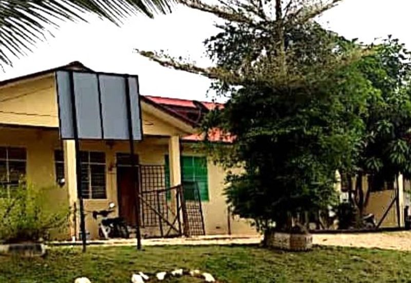 11810 Acres Palm Oil Plantation, Jajahan Jeli, Kelantan + Mill for SALE