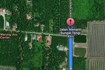 5 Acres Freehold Land for Sale at Kampong Baru, Tanjong Karang, Selangor