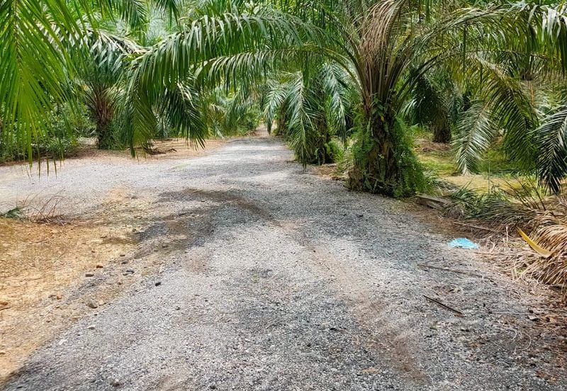 Revised Price! (Non Bumi Can Buy) Zonning Residential Land at Jalan Bukit Cerakah For Sale from RM3M to RM2.8M and now RM2.75M (Negotiable)