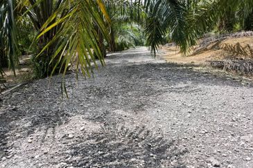 Revised Price! Zonning Residential Land at Jalan Bukit Cerakah For Sale from RM3M to RM2.8M and now RM2.75M (Negotiable)