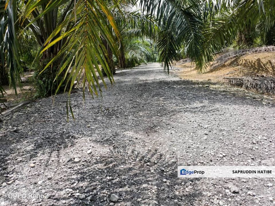 Jalan Bukit Cerakah, Shah Alam Zonning Residential Land For Sale Non Malay Reserve Land, Selangor, Shah Alam