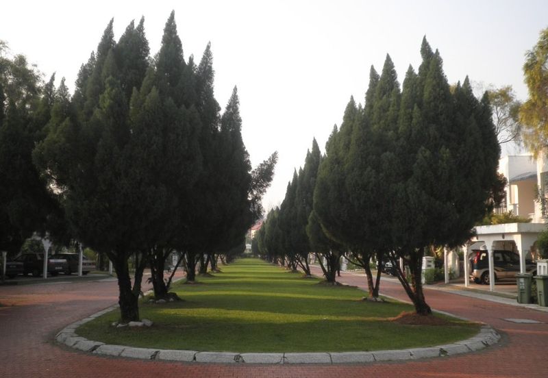 Country Villas @ County Heights