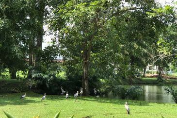 Country Heights Kajang