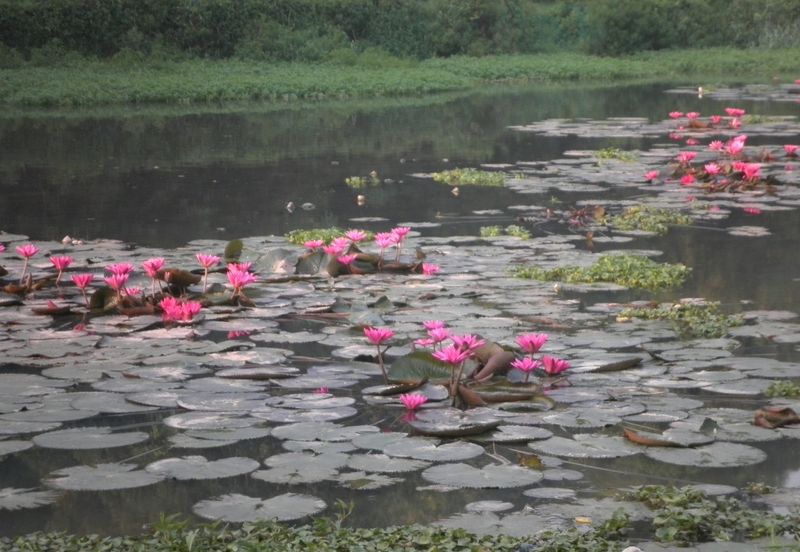 Country Heights Kajang