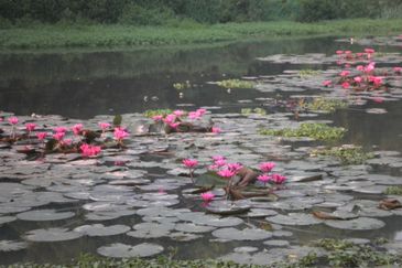 Country Heights Kajang