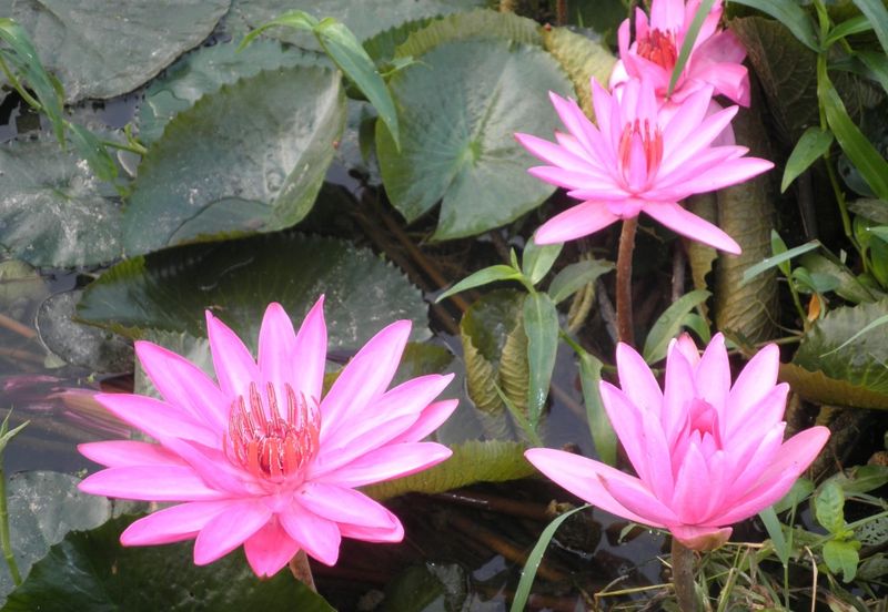 Country Heights Kajang