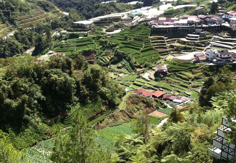 CAMERON SQUARE@ARANDA NOVA