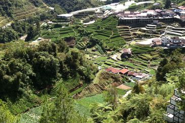 CAMERON SQUARE@ARANDA NOVA