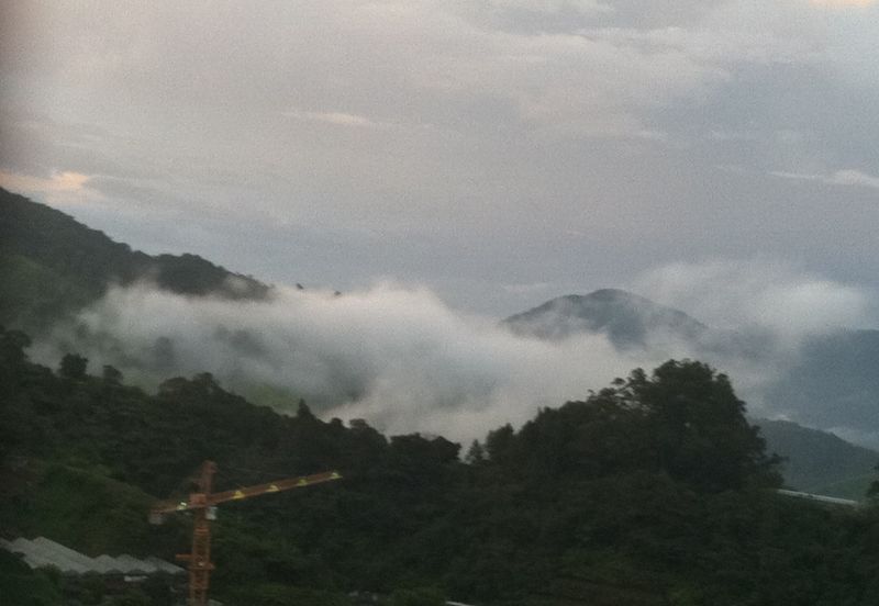 CAMERON SQUARE@ARANDA NOVA