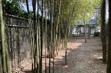 The Clio Residences @ IOI Resort City