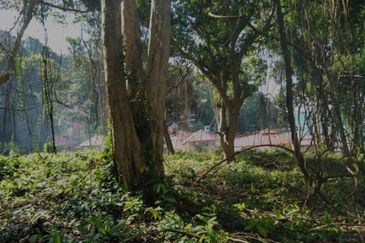PULAU PERHENTIAN KECIL