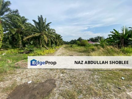 TEPI JALAN BESAR UTAMA| Agriculture Land Olak Lempit Tanjung Dua Belas Kuala Langat, Selangor, Banting