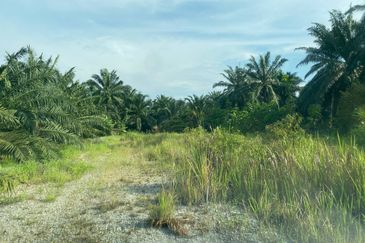 OLAK LEMPIT/BUKIT CHANGGANG