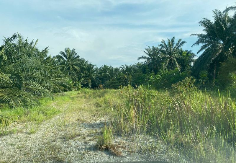 OLAK LEMPIT/BUKIT CHANGGANG