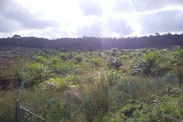 OFF JALAN MERSING -ENDAU