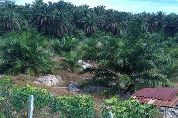 OFF JALAN MERSING -ENDAU