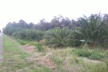 OFF JALAN MERSING -ENDAU