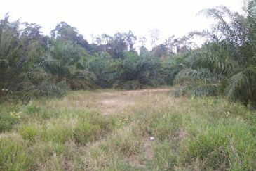 OFF JALAN MERSING -ENDAU