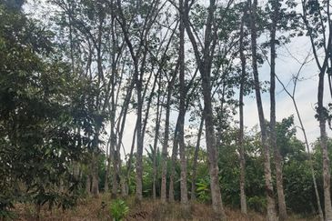 Tanah Pertanian 6 Ekar di Karak Bentong Pahang