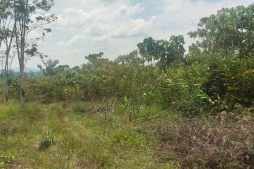 Tanah Pertanian 6 Ekar di Karak Bentong Pahang