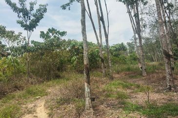 Tanah Pertanian 6 Ekar di Karak Bentong Pahang