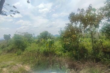 Tanah Pertanian 6 Ekar di Karak Bentong Pahang