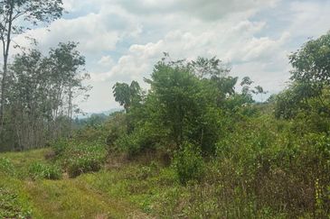 Tanah Pertanian 6 Ekar di Karak Bentong Pahang