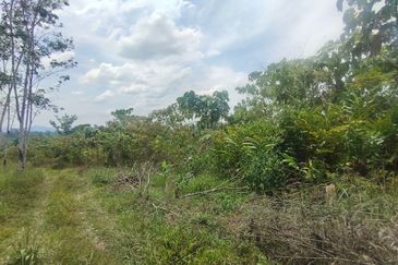 Tanah Pertanian 6 Ekar di Karak Bentong Pahang