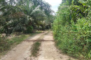 Tanah Pertanian 6 Ekar di Karak Bentong Pahang