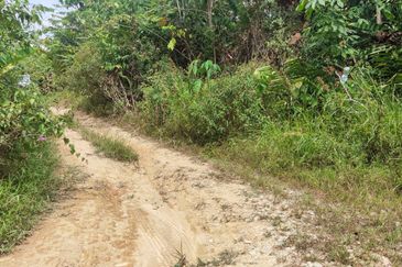 Tanah Pertanian 6 Ekar di Karak Bentong Pahang