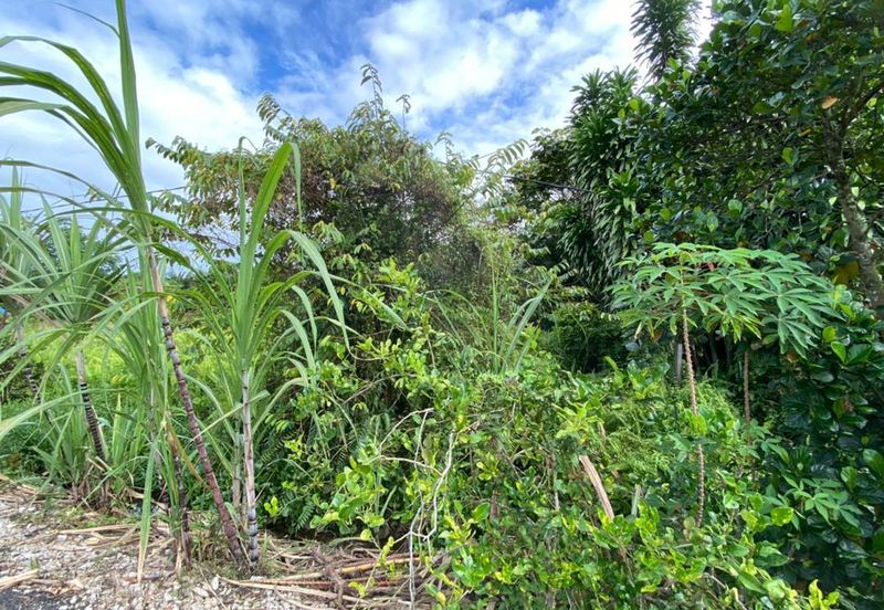 Jalan Kampung Ulu Pulai