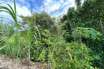 Jalan Kampung Ulu Pulai