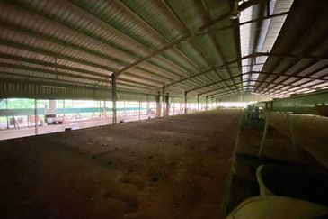 Land at Benta Raub Pahang