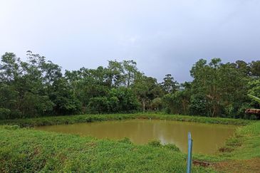 Kampung Sungai Lui