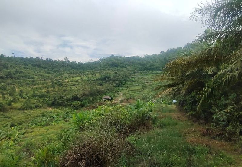 Agriculture Land Kampung Searak Api Pagoh Johor