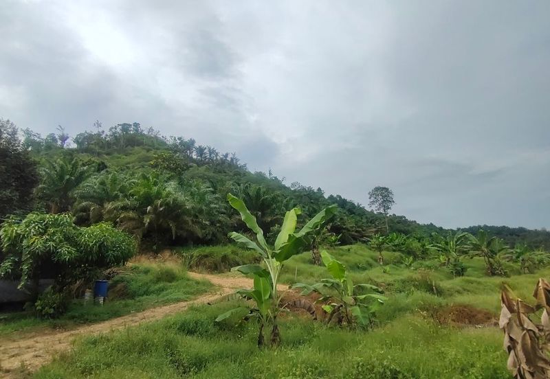 Agriculture Land Kampung Searak Api Pagoh Johor