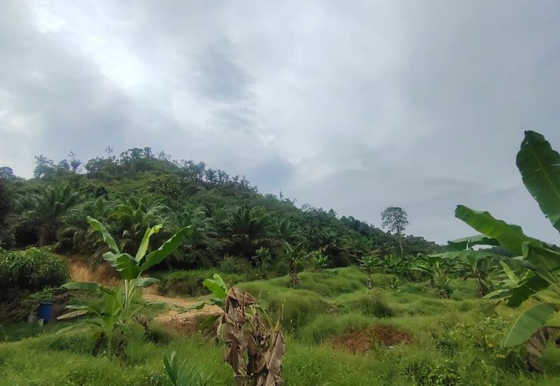 Agriculture Land Kampung Searak Api Pagoh Johor
