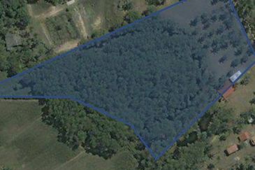 MENGHADAP PANTAI | Agriculture Land Pantai Sepat Pahang