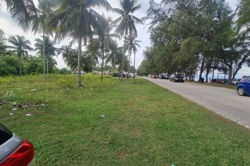 MENGHADAP PANTAI | Agriculture Land Pantai Sepat Pahang