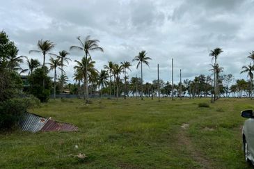MENGHADAP PANTAI | Agriculture Land Pantai Sepat Pahang