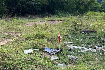 MENGHADAP PANTAI | Agriculture Land Pantai Sepat Pahang