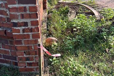 MENGHADAP PANTAI | Agriculture Land Pantai Sepat Pahang