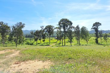 RM150K PER ACRE| Agriculture Land Kerling Hulu Selangor